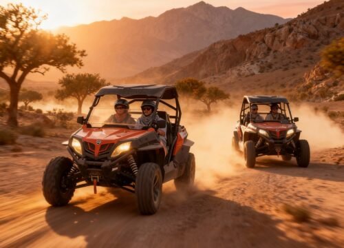 Buggy Safari Adventure & Moroccan Tea