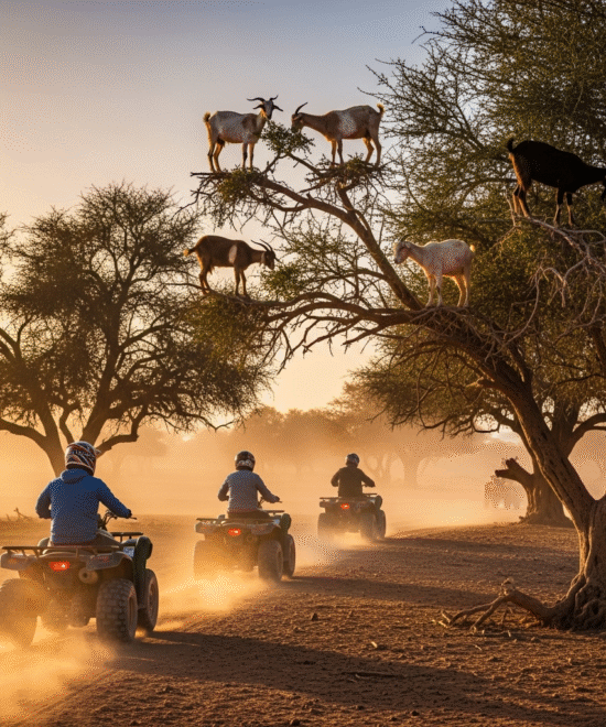 Quad with Goats On the trees